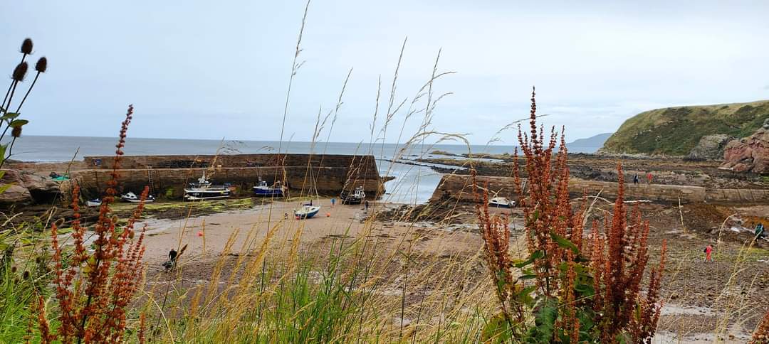 Berwickshire coastal path
