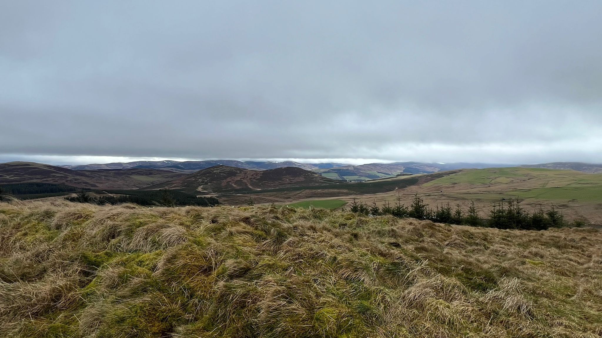 Crailzie Hill TW 210226 2