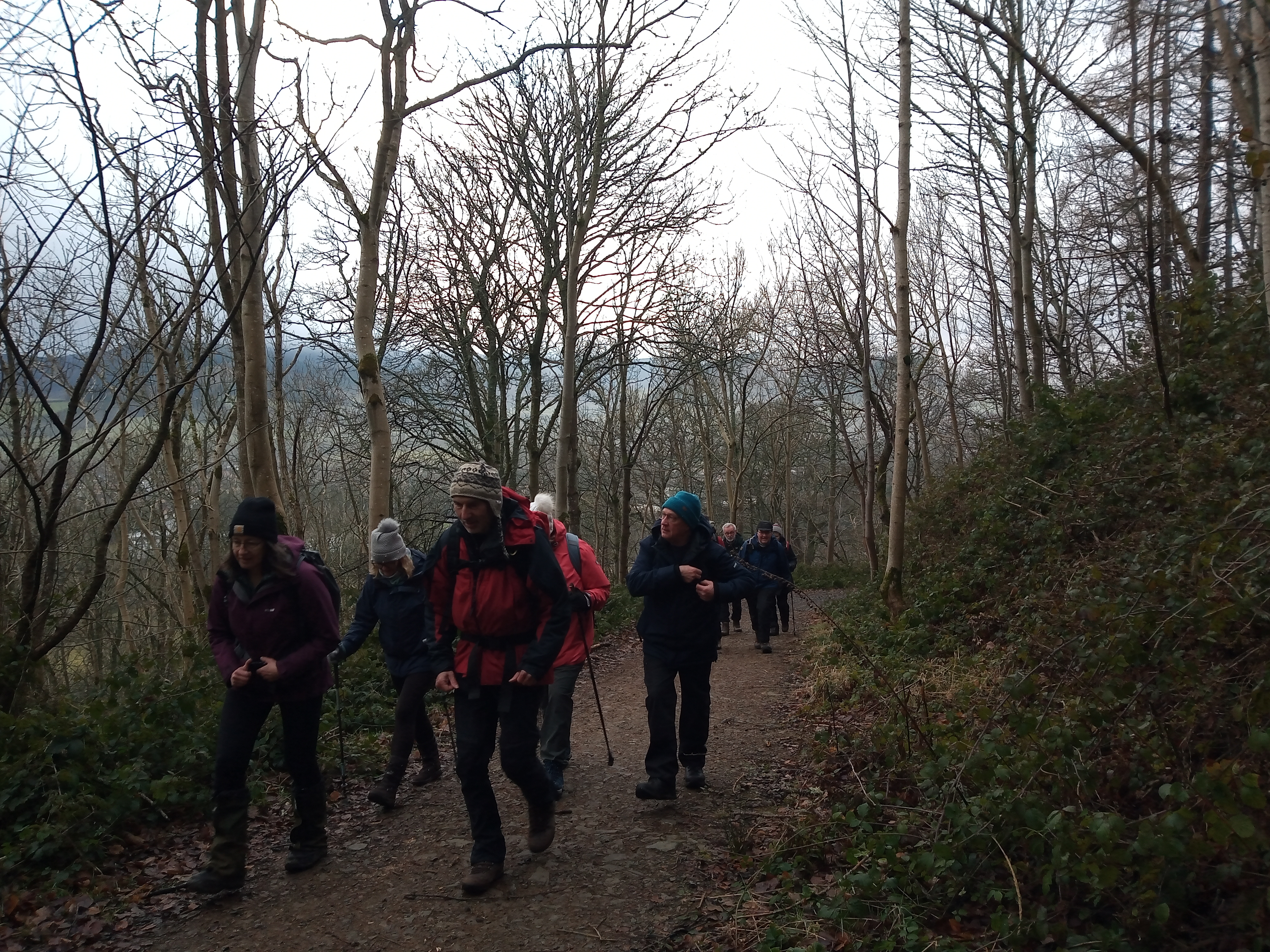 Janets Brae  Cardie Hill Walk IR 3 Jan 26