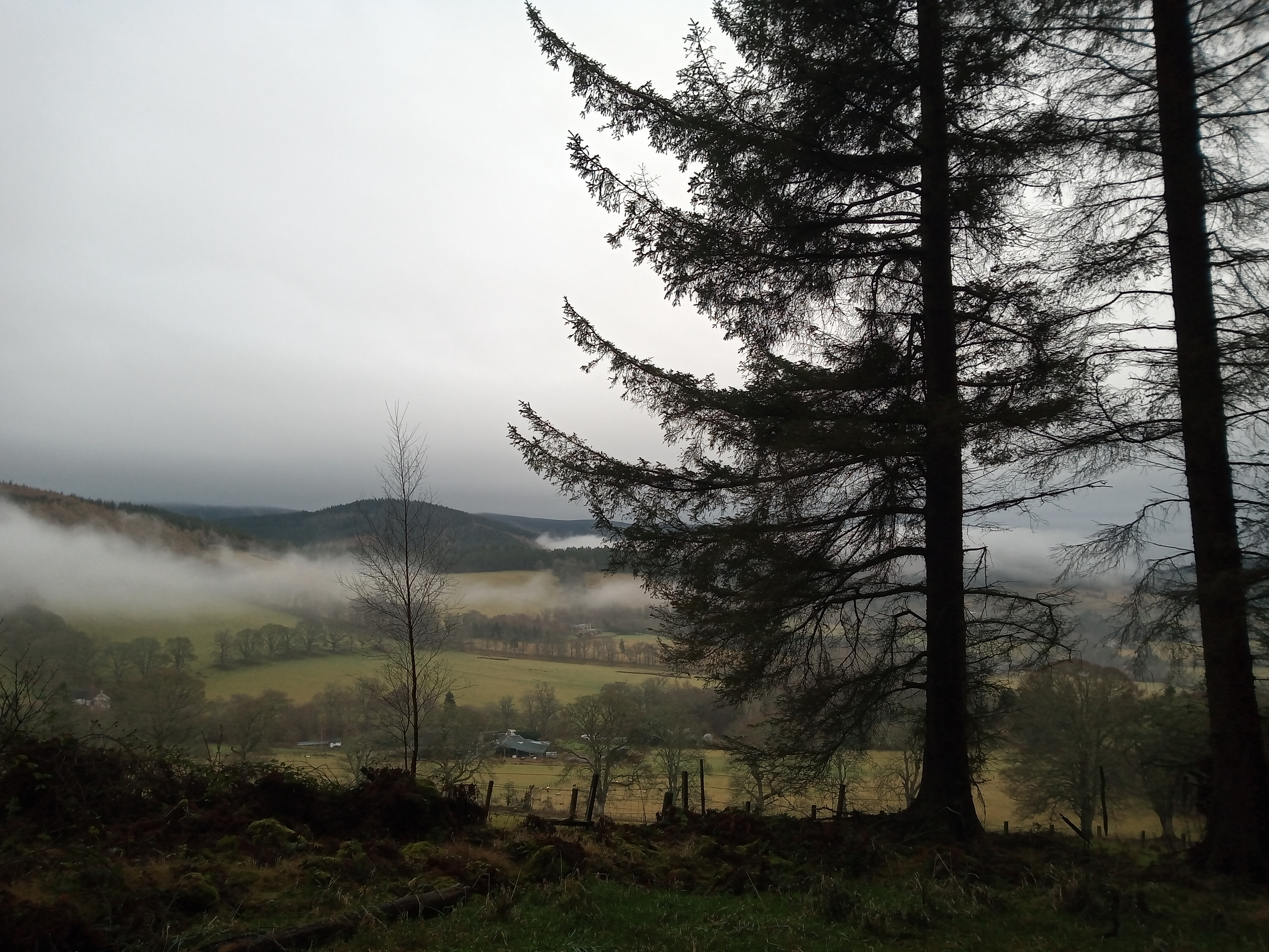 Janets Brae  Cardie Hill Walk IR 5 Jan 26