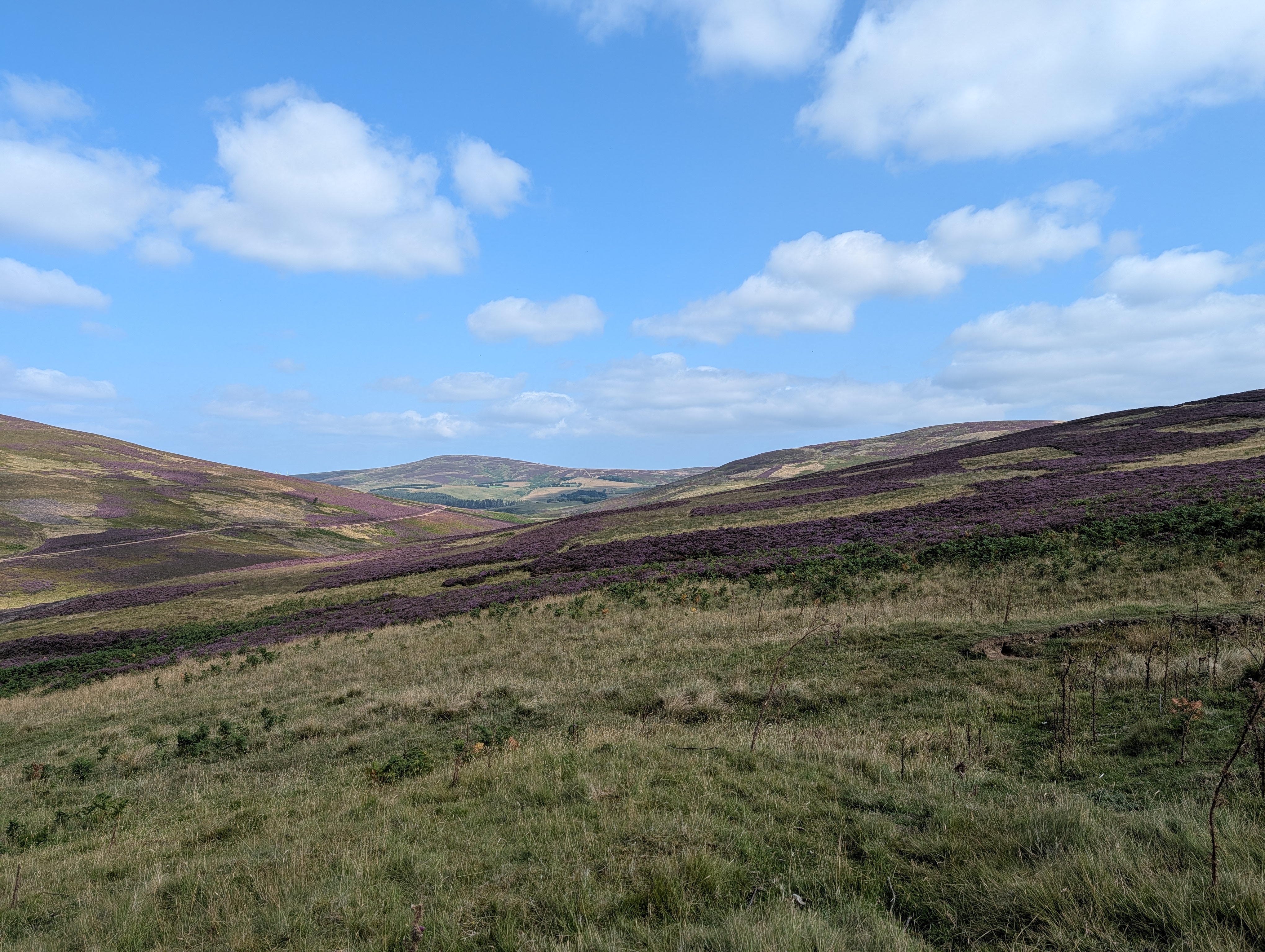 Whiteadder Reservoir 2