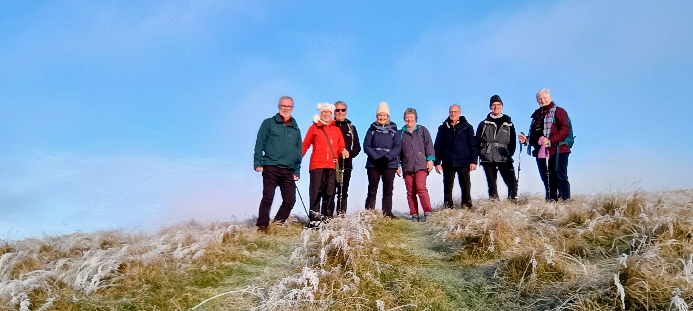 Collie Law and Hamilton Hill Circular 