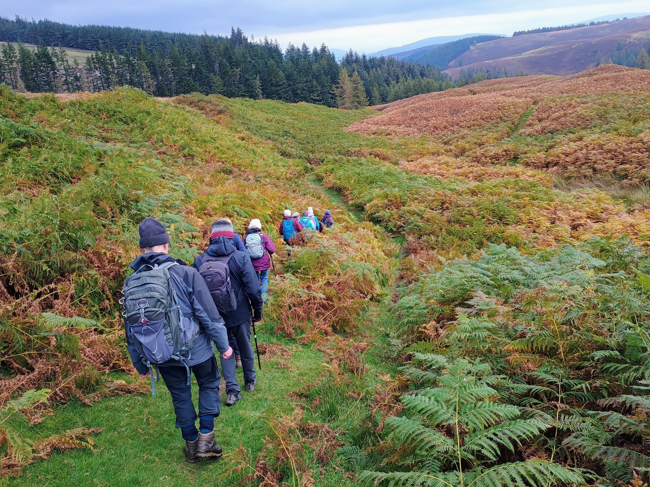 Loch Eddy walk 4
