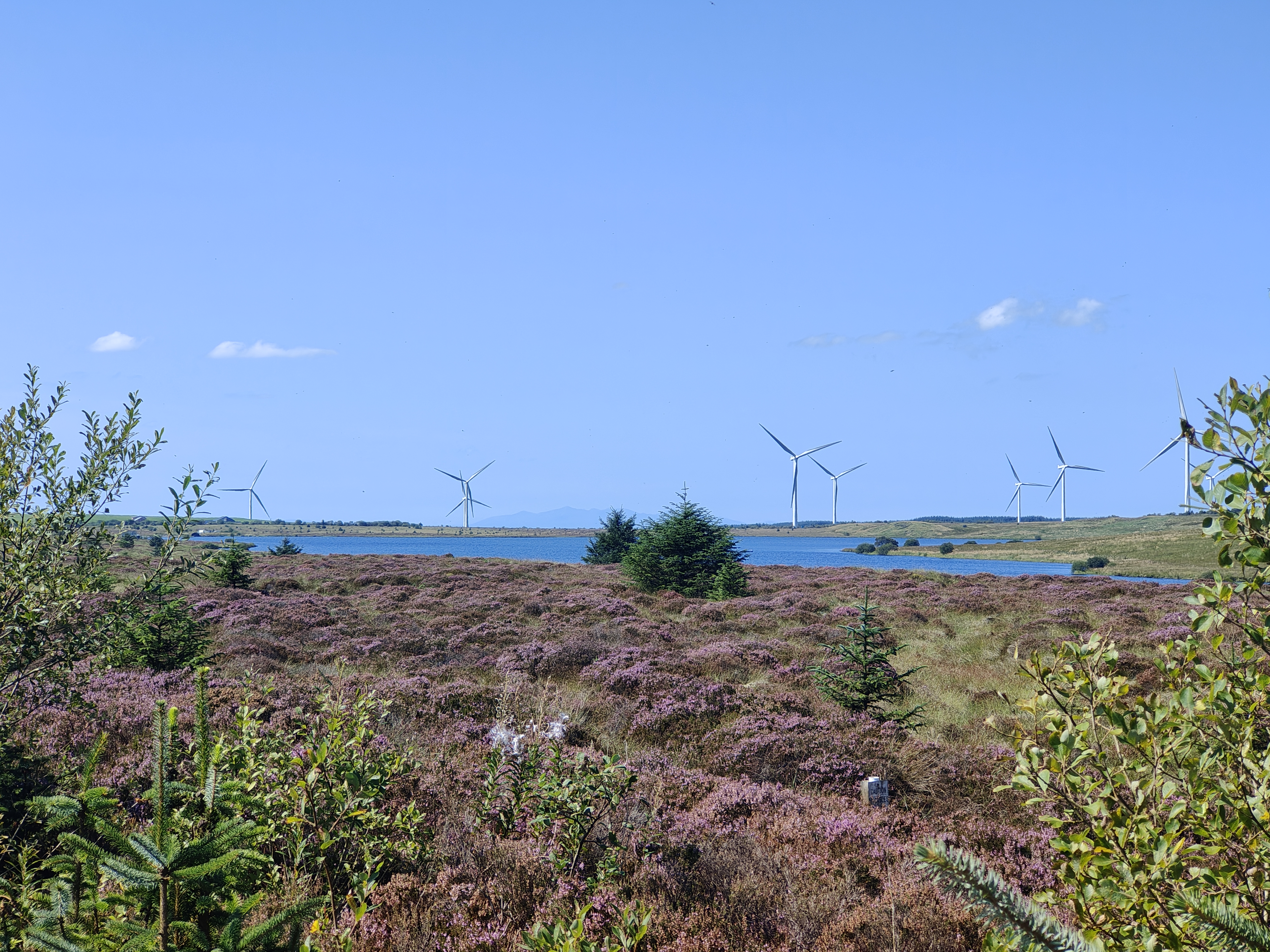 Whitelee2