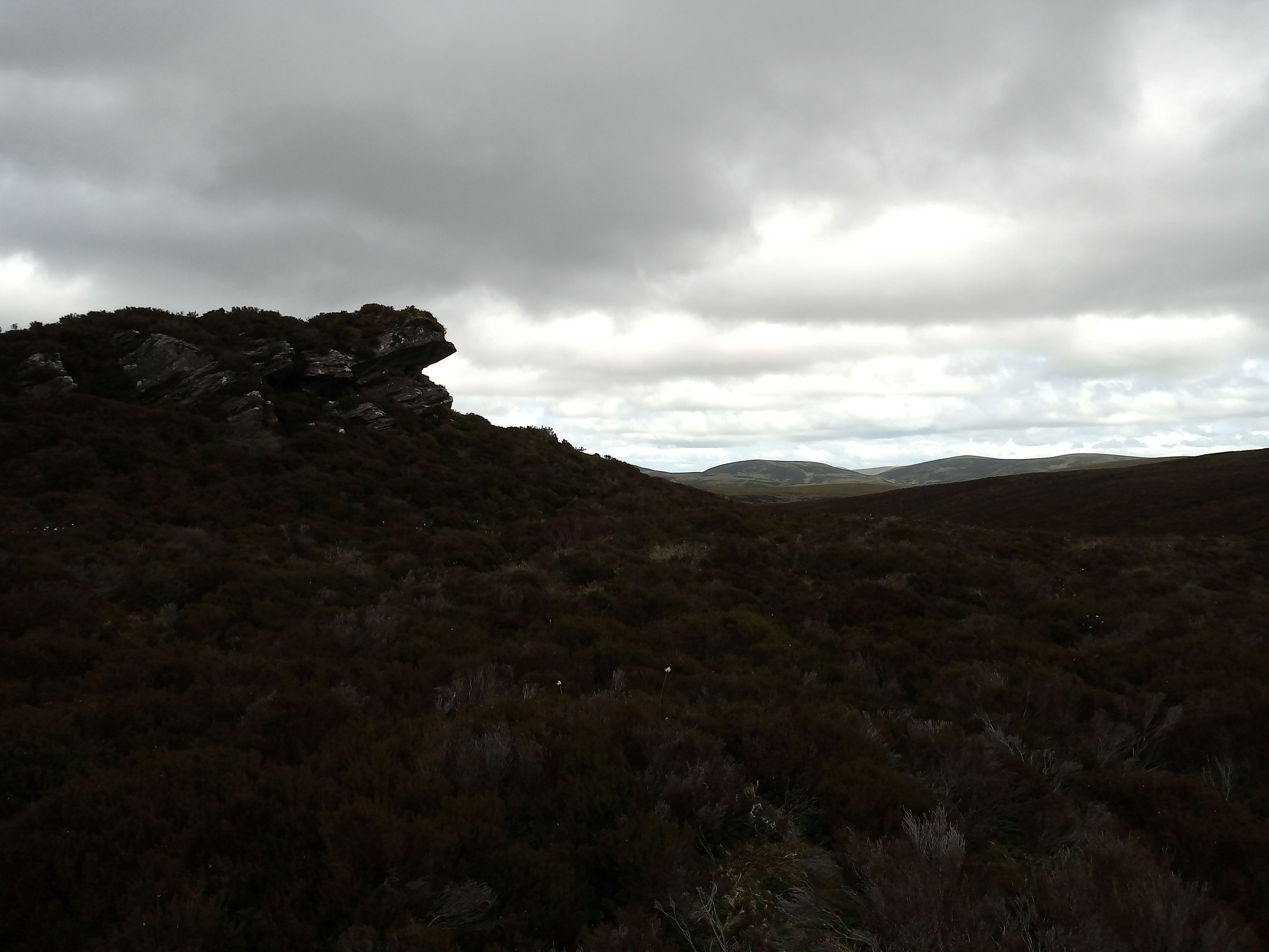 Wolf Craigs Circular 1