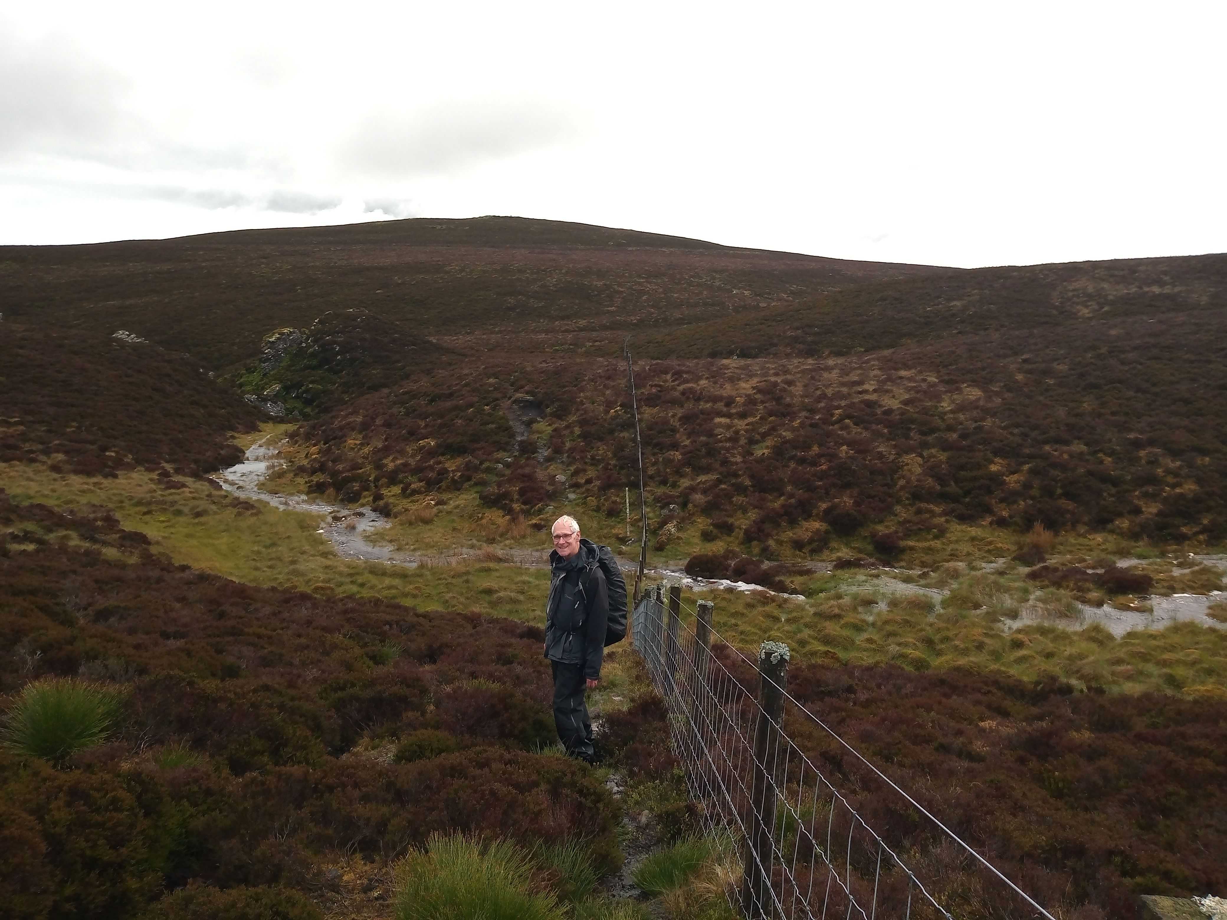 Wolf Craigs Circular 3